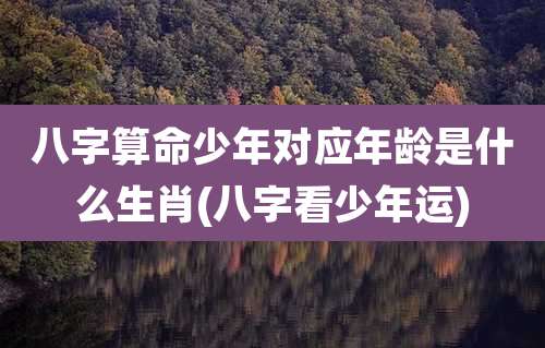 八字算命少年对应年龄是什么生肖(八字看少年运)
