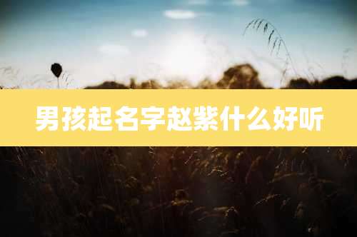 男孩起名字赵紫什么好听