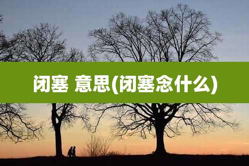 闭塞 意思(闭塞念什么)