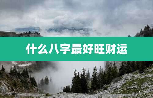 什么八字最好旺财运