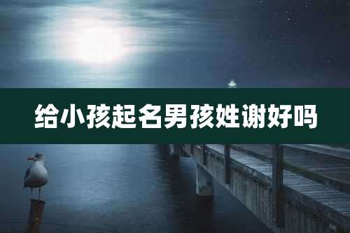 给小孩起名男孩姓谢好吗