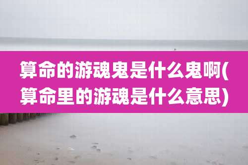 算命的游魂鬼是什么鬼啊(算命里的游魂是什么意思)