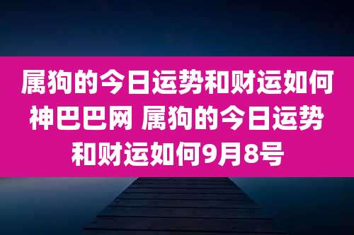属狗的今日运势和财运如何神巴巴网 属狗的今日运势和财运如何9月8号