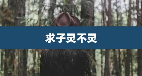 求子灵不灵