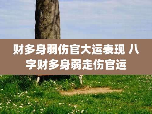 财多身弱伤官大运表现 八字财多身弱走伤官运