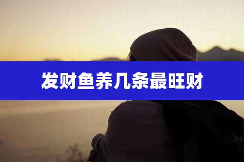 发财鱼养几条最旺财