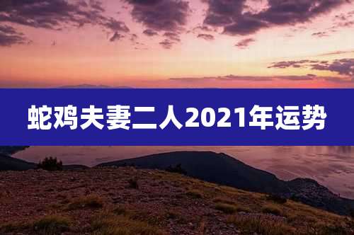 蛇鸡夫妻二人2021年运势