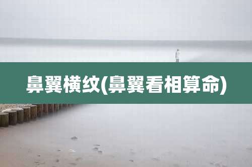 鼻翼横纹(鼻翼看相算命)