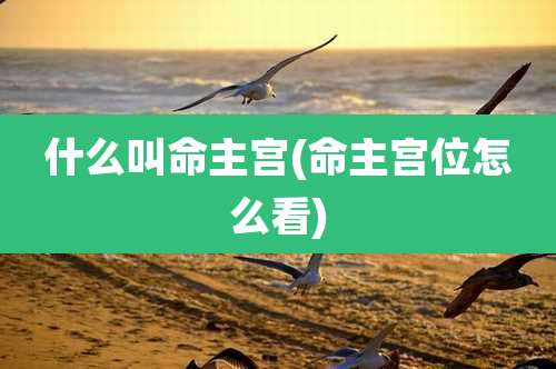 什么叫命主宫(命主宫位怎么看)