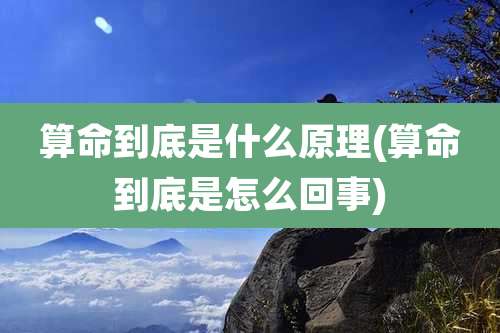 算命到底是什么原理(算命到底是怎么回事)