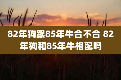 82年狗跟85年牛合不合 82年狗和85年牛相配吗