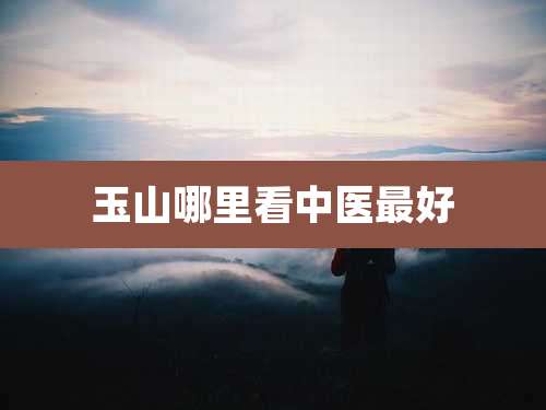 玉山哪里看中医最好