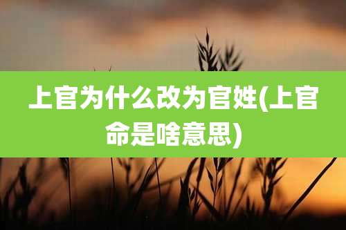 上官为什么改为官姓(上官命是啥意思)