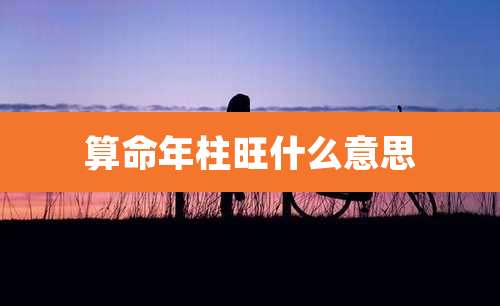 算命年柱旺什么意思