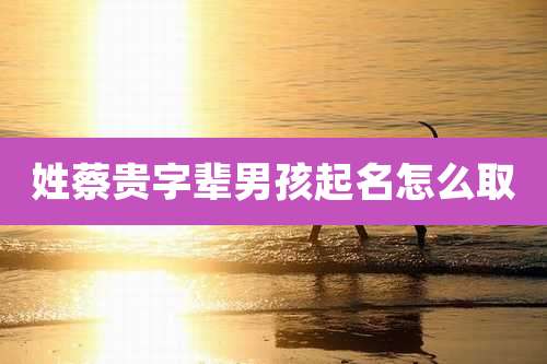 姓蔡贵字辈男孩起名怎么取