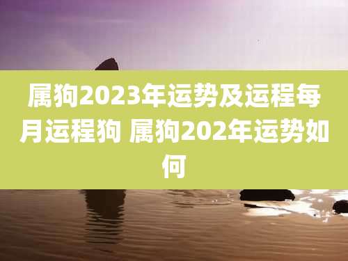 属狗2023年运势及运程每月运程狗 属狗202年运势如何