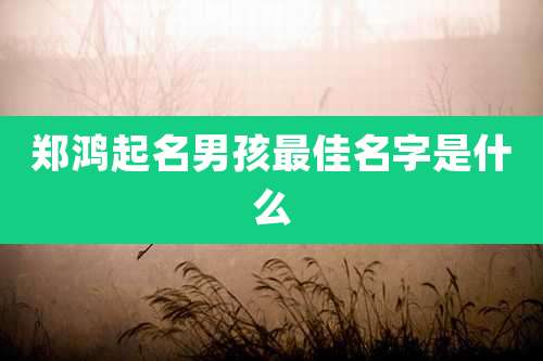 郑鸿起名男孩最佳名字是什么
