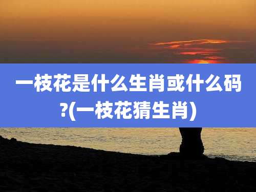 一枝花是什么生肖或什么码?(一枝花猜生肖)