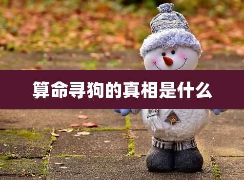 算命寻狗的真相是什么