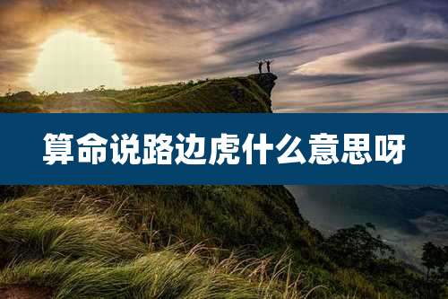 算命说路边虎什么意思呀