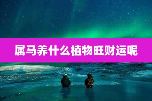 属马养什么植物旺财运呢