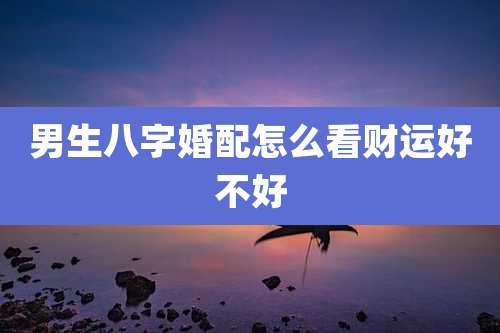 男生八字婚配怎么看财运好不好