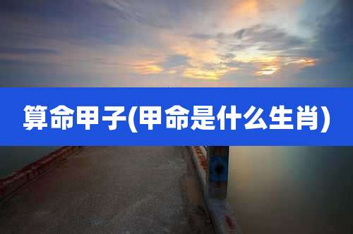 算命甲子(甲命是什么生肖)