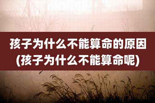 孩子为什么不能算命的原因(孩子为什么不能算命呢)