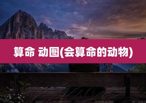 算命 动图(会算命的动物)