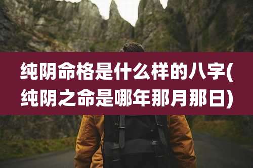 纯阴命格是什么样的八字(纯阴之命是哪年那月那日)
