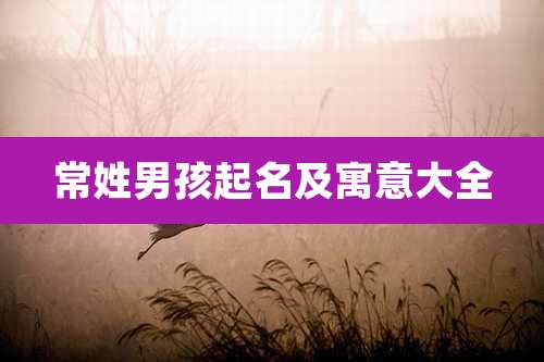 常姓男孩起名及寓意大全