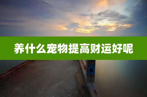 养什么宠物提高财运好呢