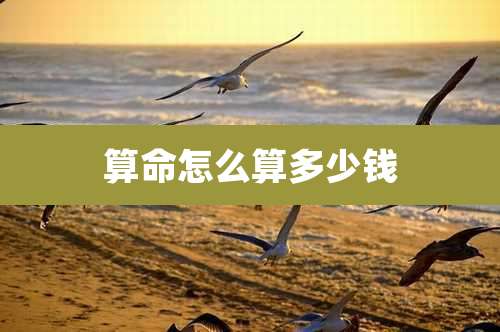 算命怎么算多少钱