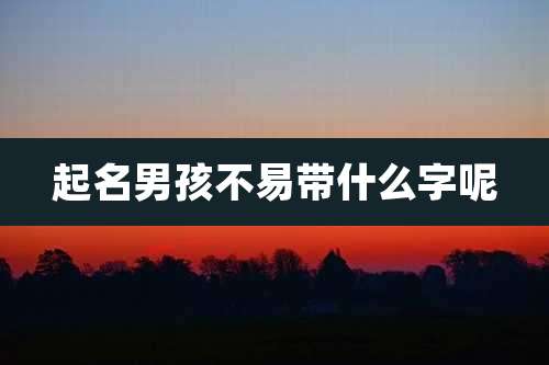 起名男孩不易带什么字呢