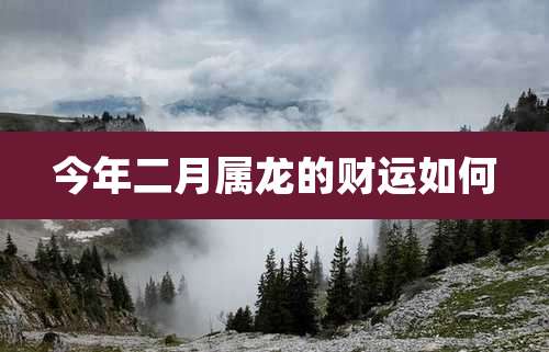 今年二月属龙的财运如何