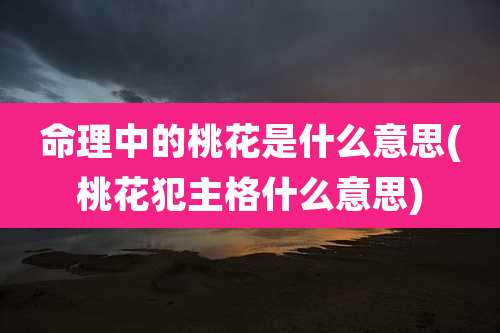 命理中的桃花是什么意思(桃花犯主格什么意思)