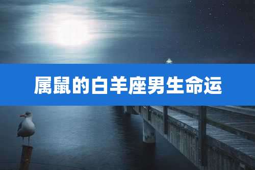 属鼠的白羊座男生命运