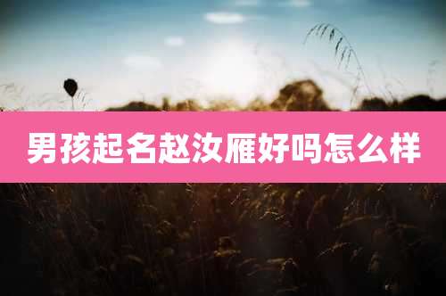 男孩起名赵汝雁好吗怎么样