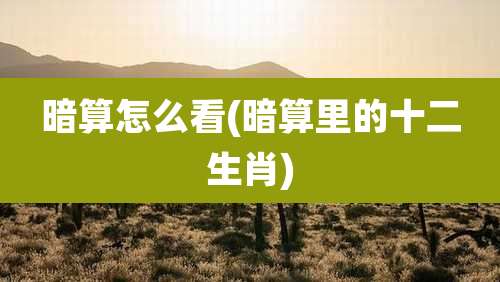 暗算怎么看(暗算里的十二生肖)