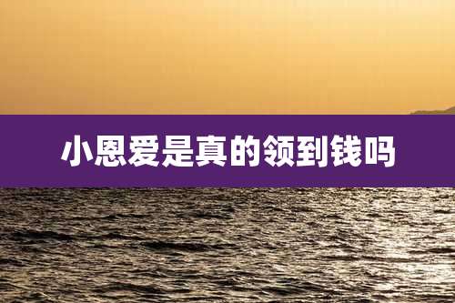 小恩爱是真的领到钱吗