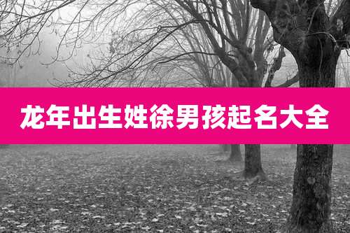 龙年出生姓徐男孩起名大全