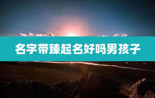 名字带臻起名好吗男孩子
