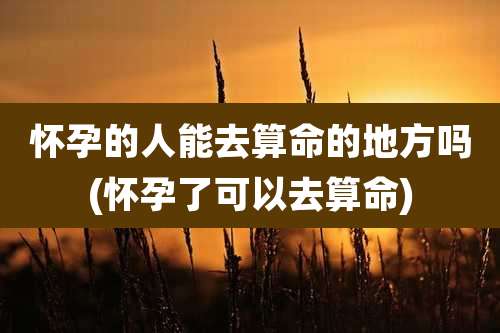 怀孕的人能去算命的地方吗(怀孕了可以去算命)