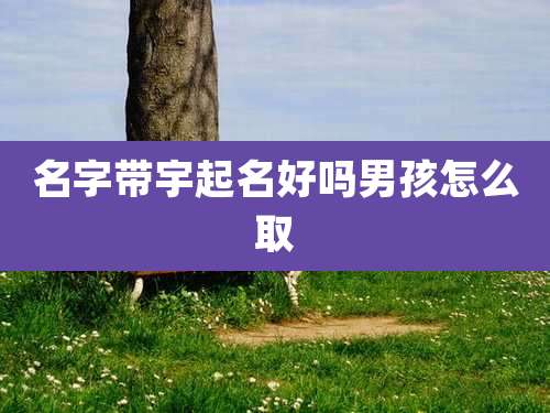 名字带宇起名好吗男孩怎么取