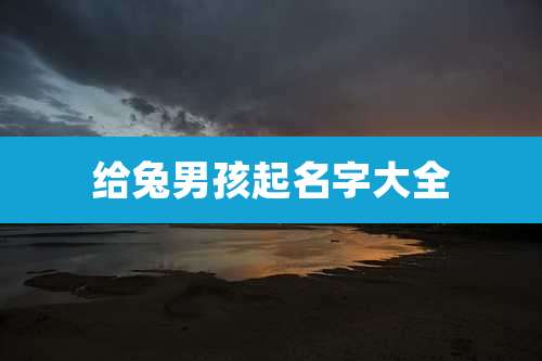 给兔男孩起名字大全