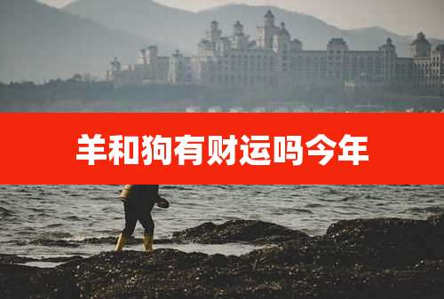 羊和狗有财运吗今年