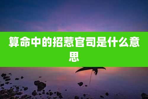 算命中的招惹官司是什么意思