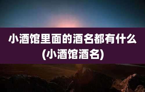 小酒馆里面的酒名都有什么(小酒馆酒名)
