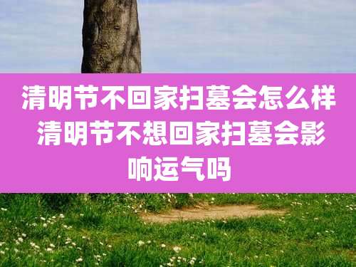 清明节不回家扫墓会怎么样 清明节不想回家扫墓会影响运气吗