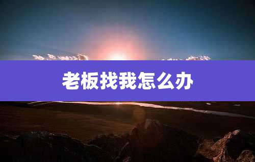老板找我怎么办